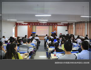 洛陽科技大市場舉辦首屆技術(shù)經(jīng)紀(jì)人培訓(xùn)班，賦能科技中介服務(wù)新生態(tài)